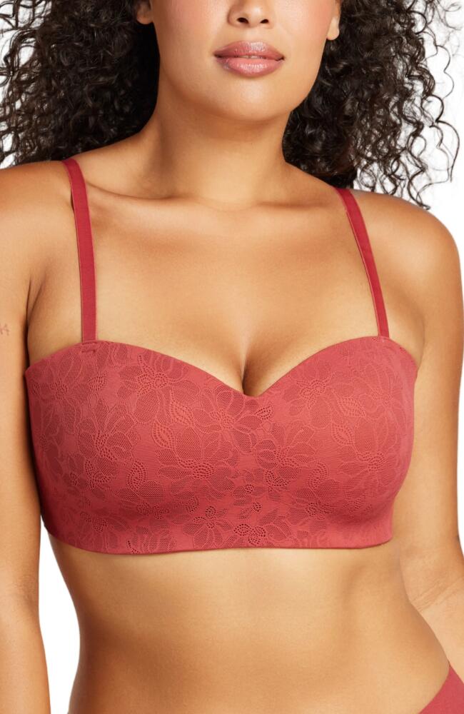 Siella Women's Soft Lace Balconette Foam Bra in Rosewood Cover