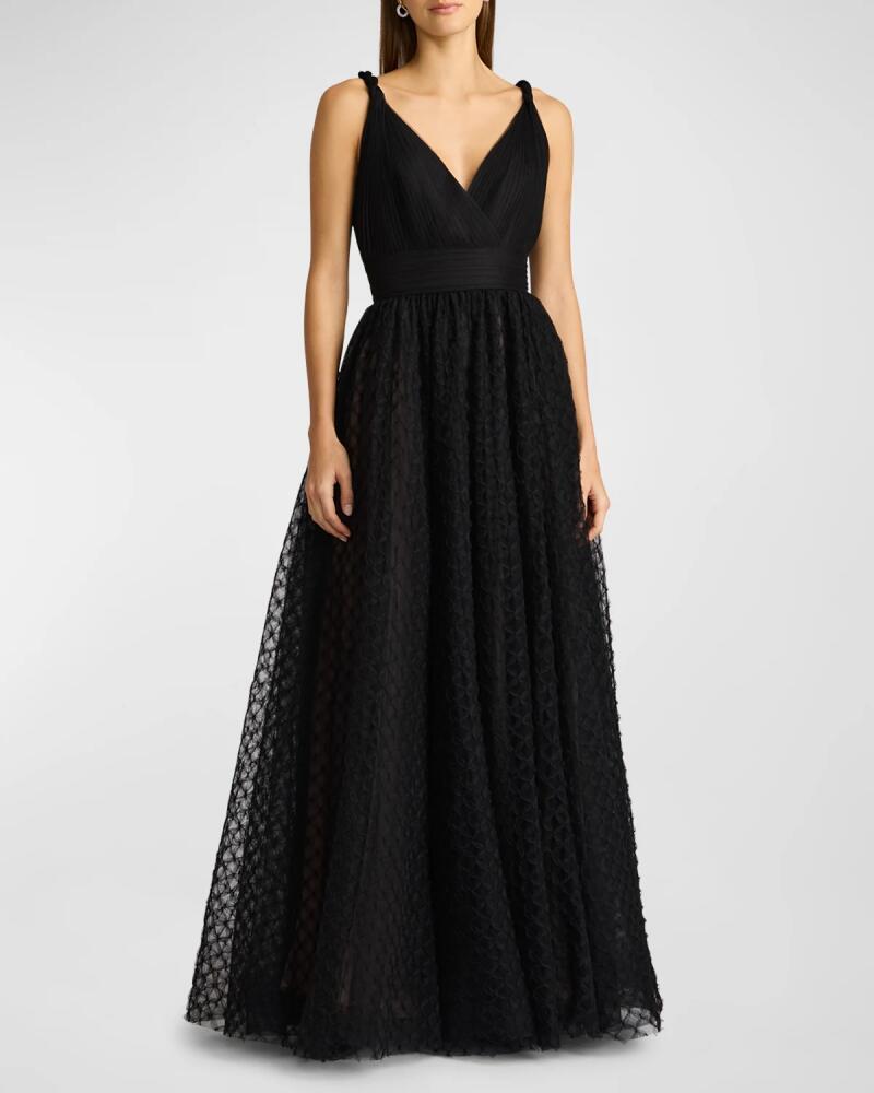 Zac Posen Sleeveless Pleated Tulle Applique Gown Cover