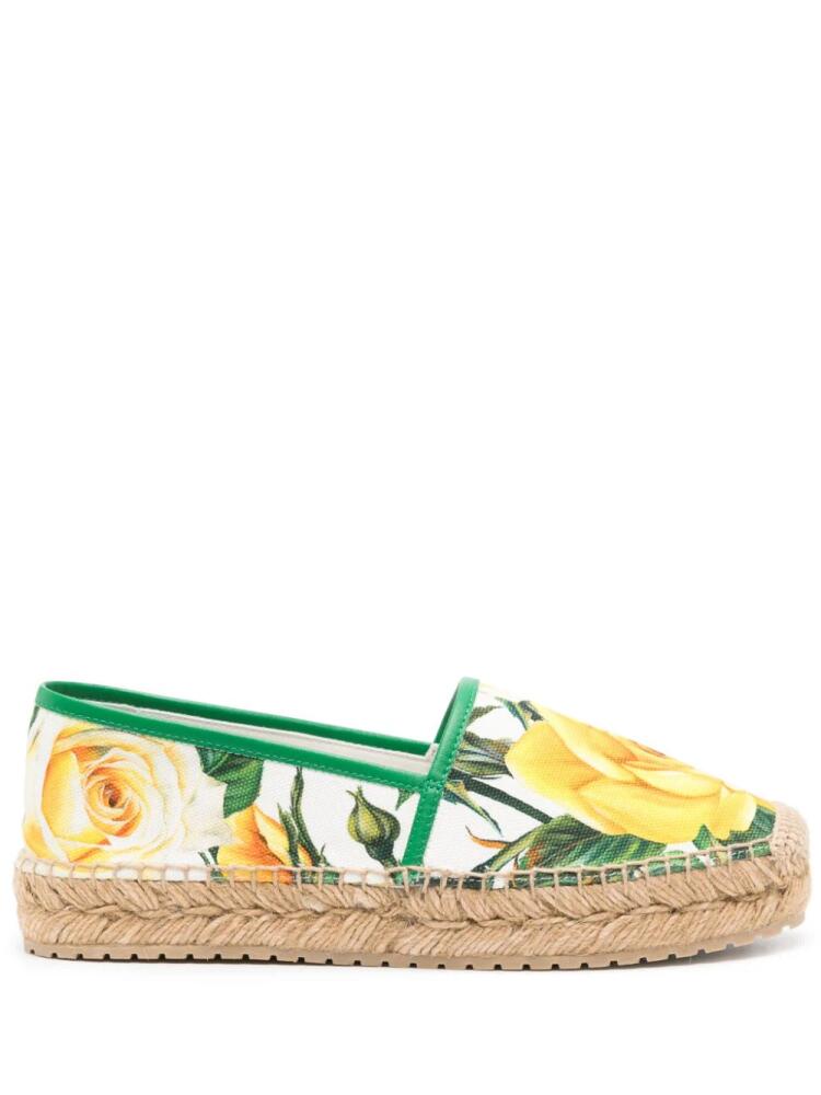 Dolce & Gabbana floral-print canvas espadrilhes - White Cover