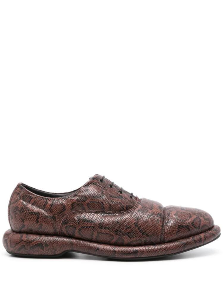 Martine Rose x Clarks snakeskin-effect oxford shoes - Brown Cover