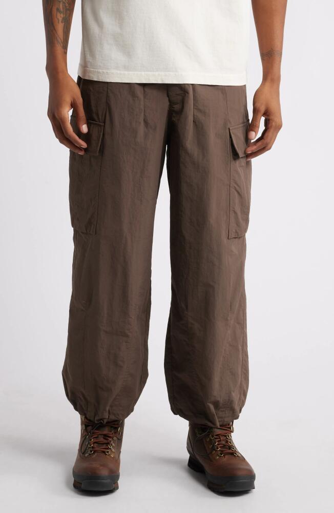 Afield Out Utility Pants in Brown Cover