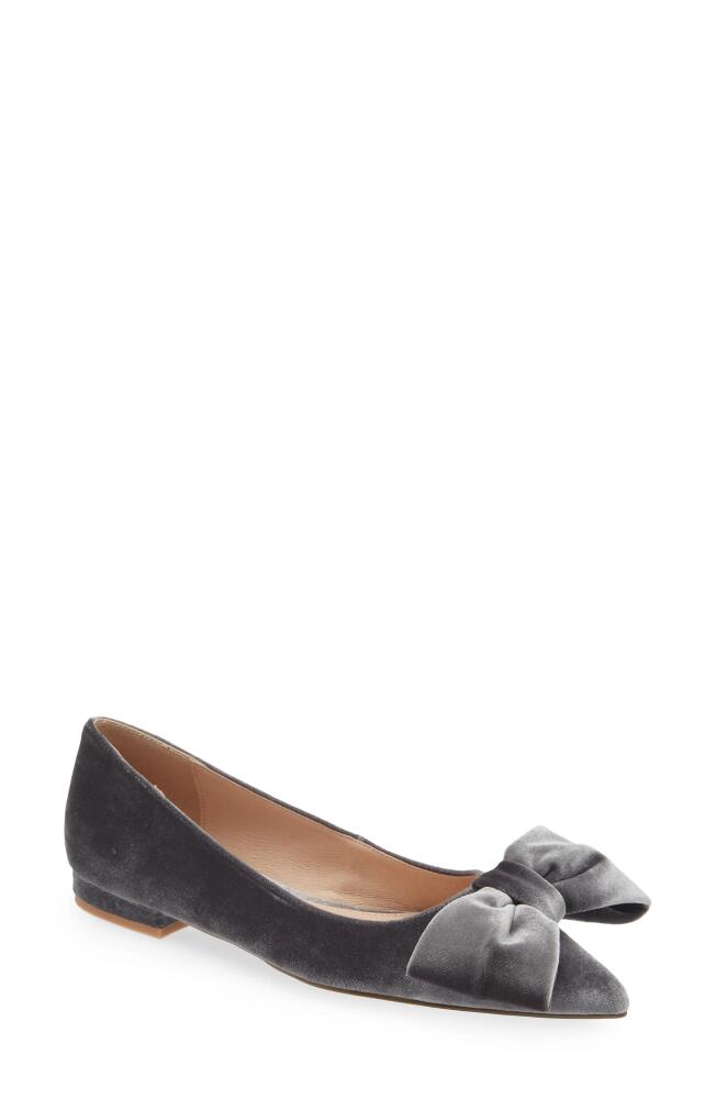 Cecelia New York Brie Bow Pointed Toe Flat in Gray Velvet Cover