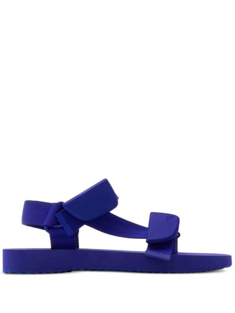 Burberry Trek buckled sandals - Blue Cover