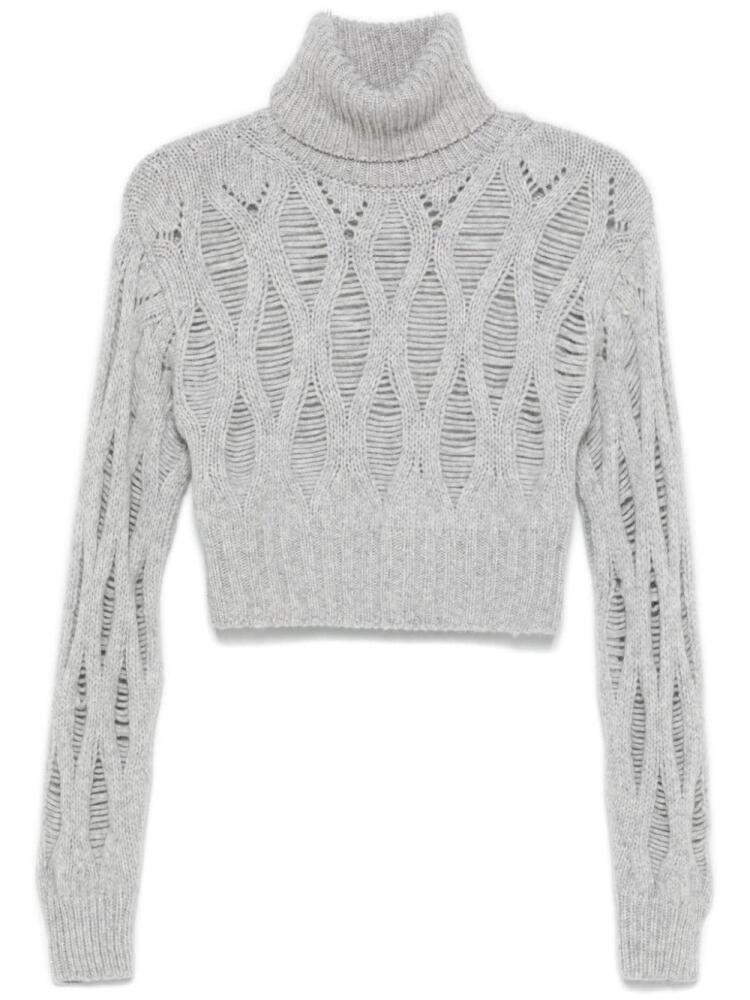 Wild Cashmere cropped turtleneck sweater - Grey Cover