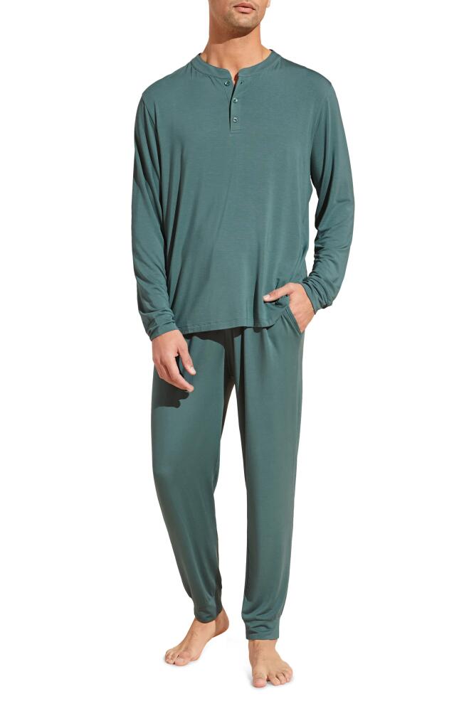 Eberjey Henry Jersey Pajamas in Agave Cover