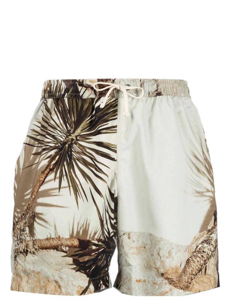 BLUE SKY INN palm tree-print drawstring swim shorts - Green Cover