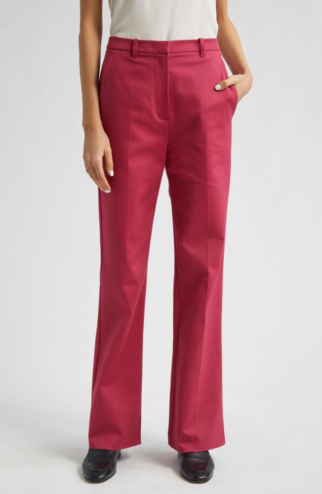 Emporio Armani Cotton Couture Flare Pants in Solid Dark Red Cover