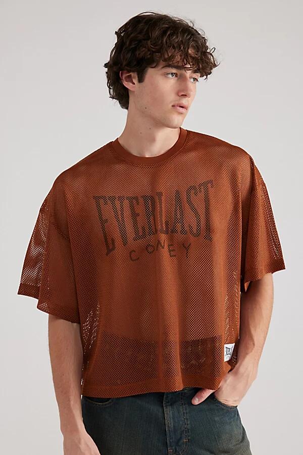 Coney Island Picnic X Everlast UO Exclusive Cropped Tee in Chocolate Cover