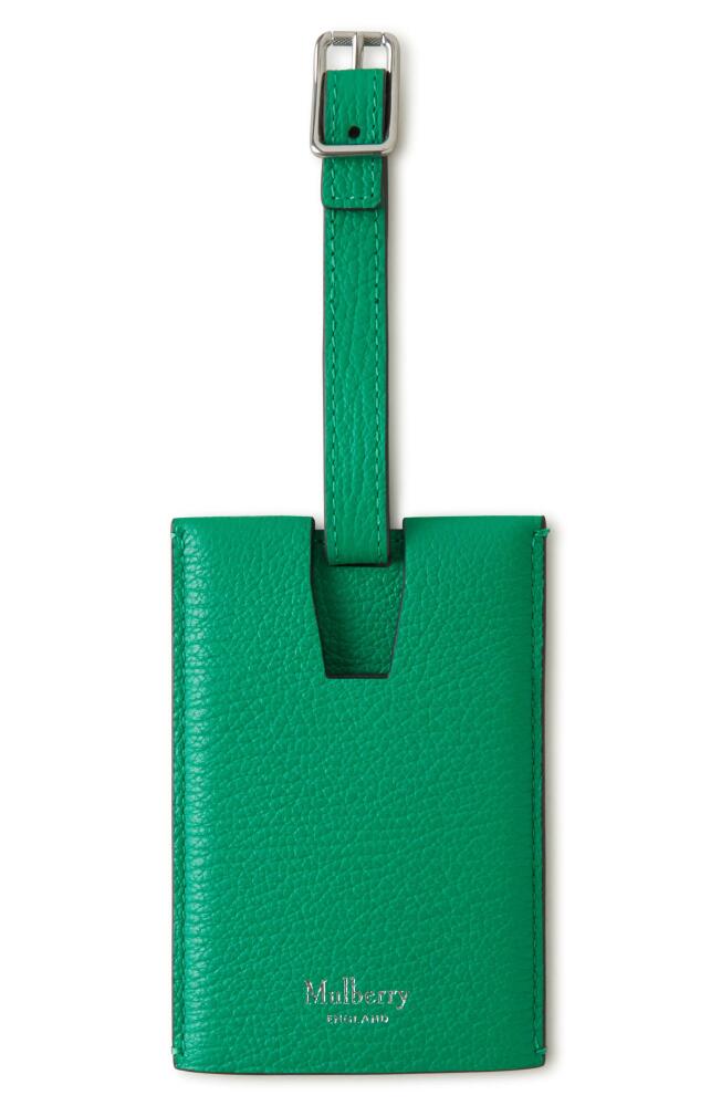 Mulberry Leather Luggage Tag in Lawn Green Cover