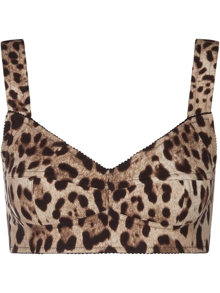 Dolce & Gabbana leopard-print bustier top - Brown Cover