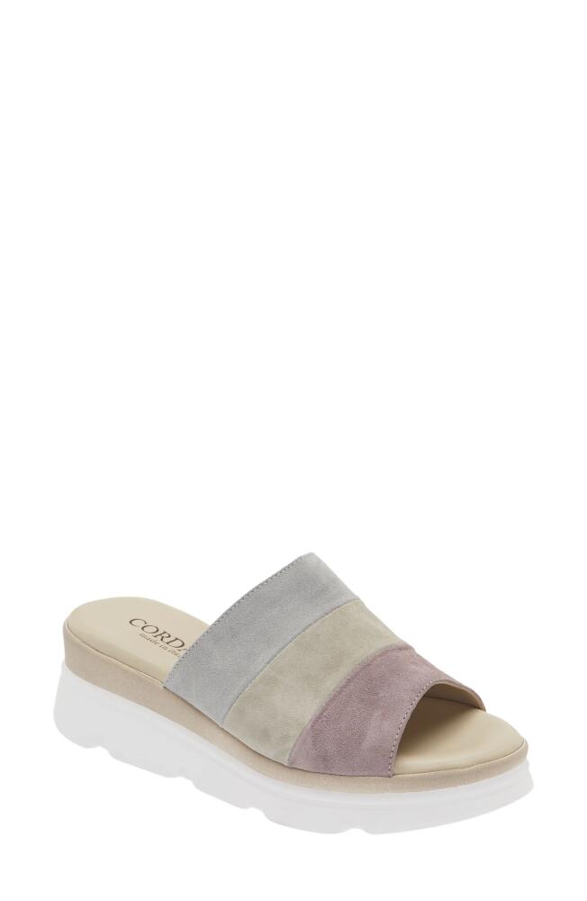 Cordani Andria Platform Slide Sandal in Lavender Combo Cover