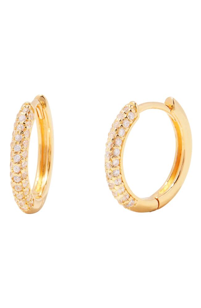 Brook and York Cecile Pavé Cubic Zirconia Hoop Earrings in Gold Cover