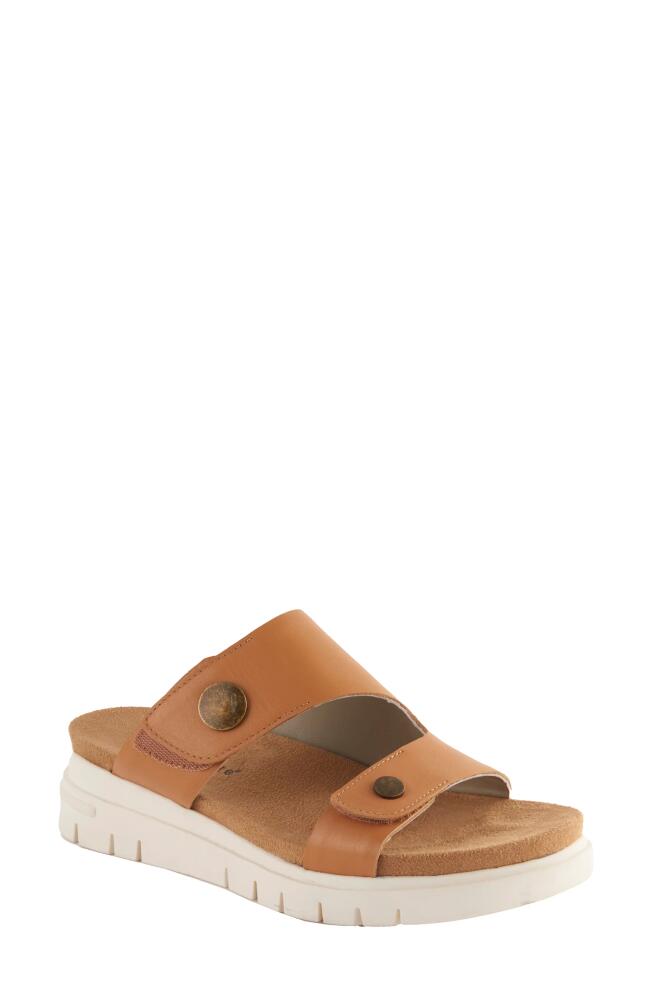 David Tate Elena Wedge Slide Sandal in Honey Calf Cover