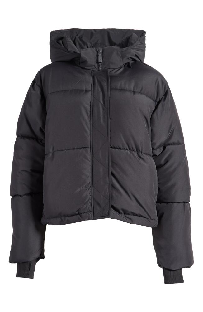 Florence by Mills Hooded Short Puffer Jacket in Black Cover