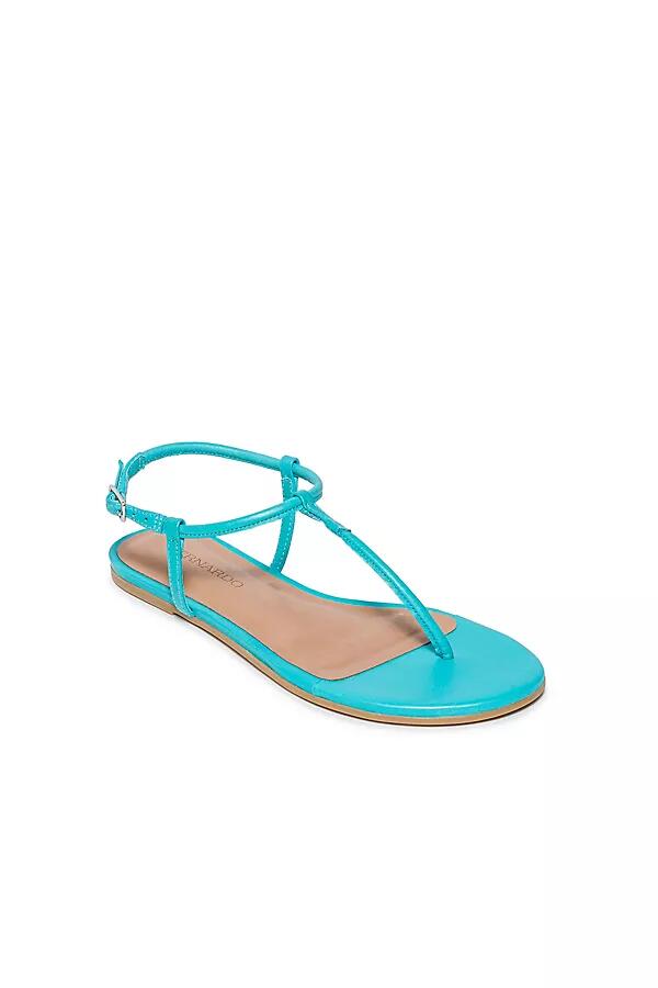 Bernardo Haven Thong Sandals Cover