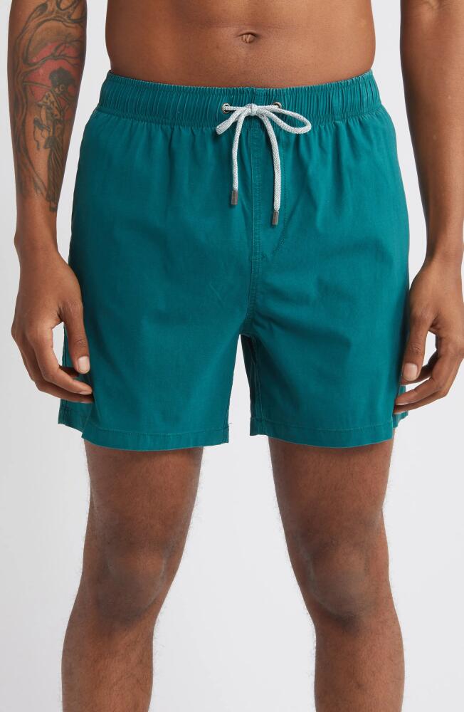 Vintage Summer Volley Swim Trunks in Green Cover