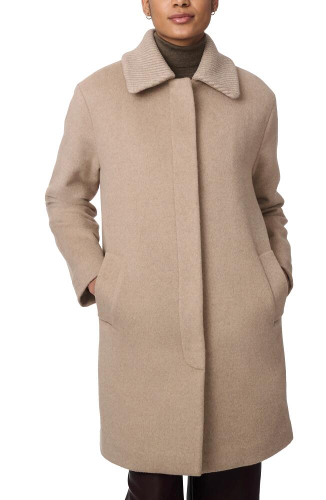 Bernardo Rib Collar Coat in Oatmilk Cover