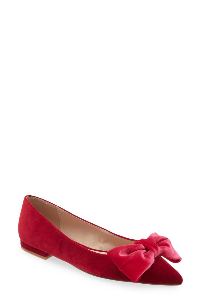 Cecelia New York Brie Bow Pointed Toe Flat in Pink Velvet Cover