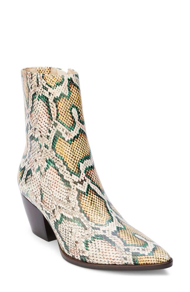 Matisse Caty Western Pointed Toe Bootie in Bone Multi Snake Cover