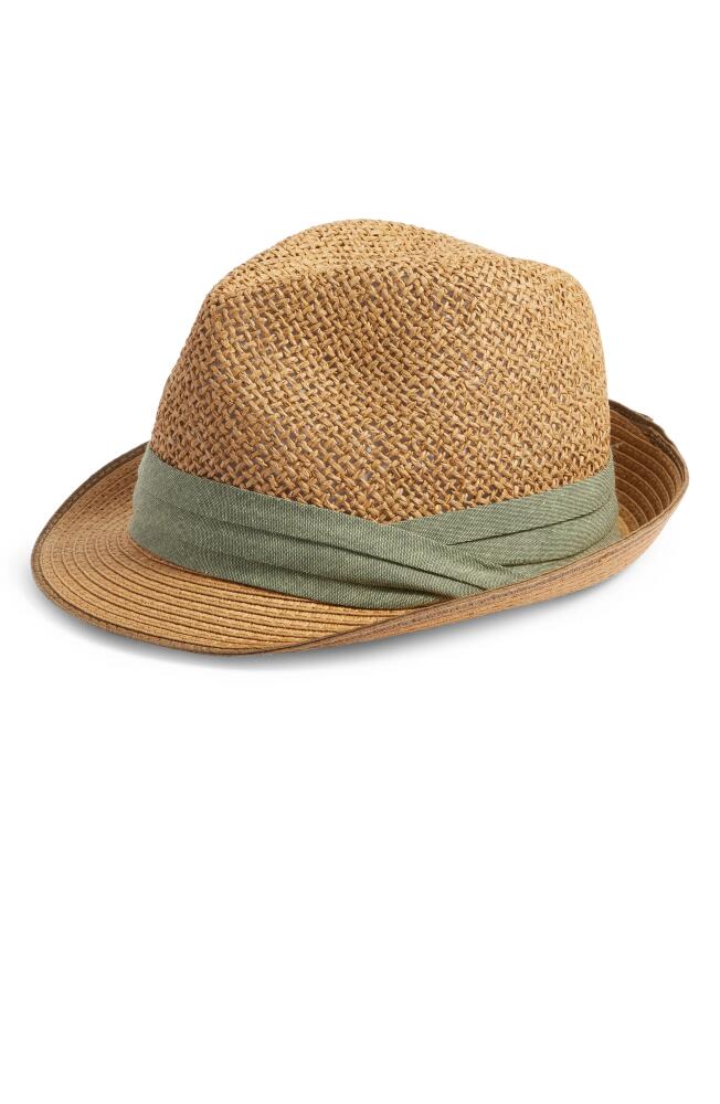 Nordstrom Paper Straw Fedora in Olive Combo Cover