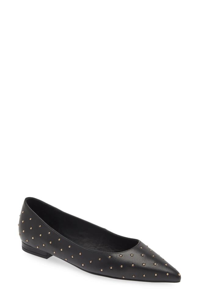 Cecelia New York Brie Stud Pointed Toe Flat in Black Cover