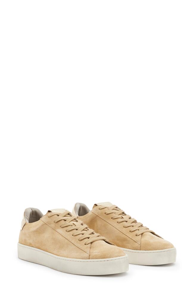 AllSaints Shana Sneaker in Oak Beige Cover