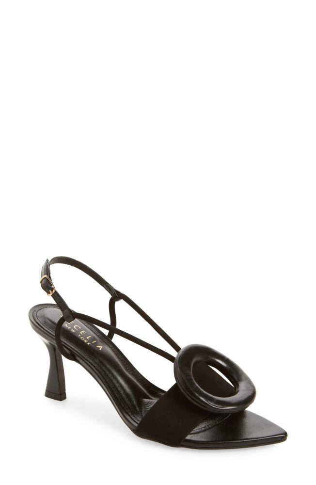 Cecelia New York Myra Pointed Toe Slingback Sandal in Black Patent Cover