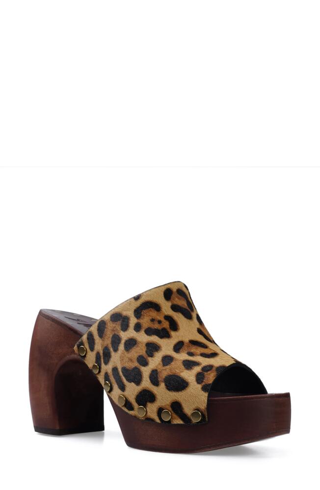 ZIGI Xyla Platform Sandal in Leopard Cover