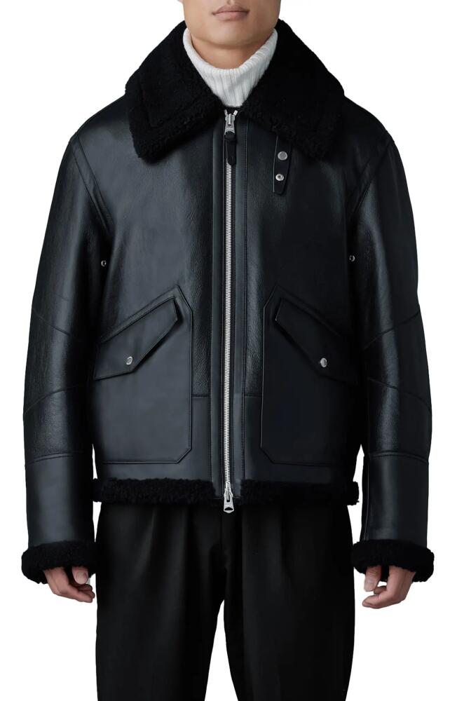 Mackage Atlas Genuine Shearling Lined Leather Bomber Jacket in Black Cover