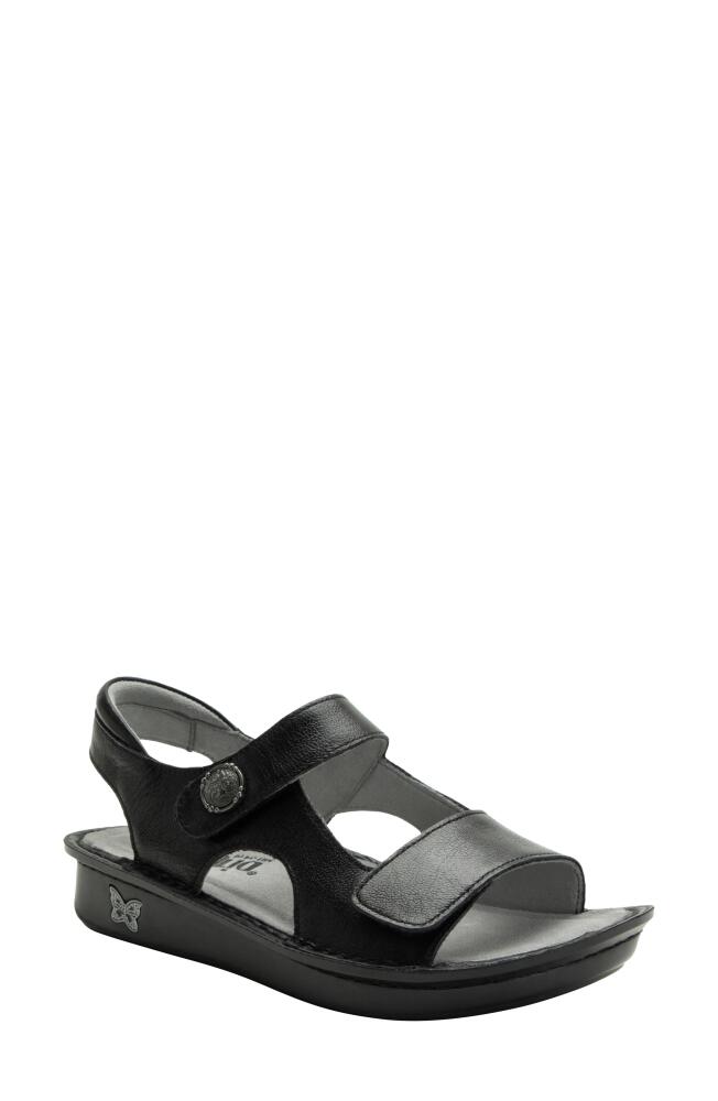 Alegria by PG Lite Vallie Wedge Sandal in Ink Cover