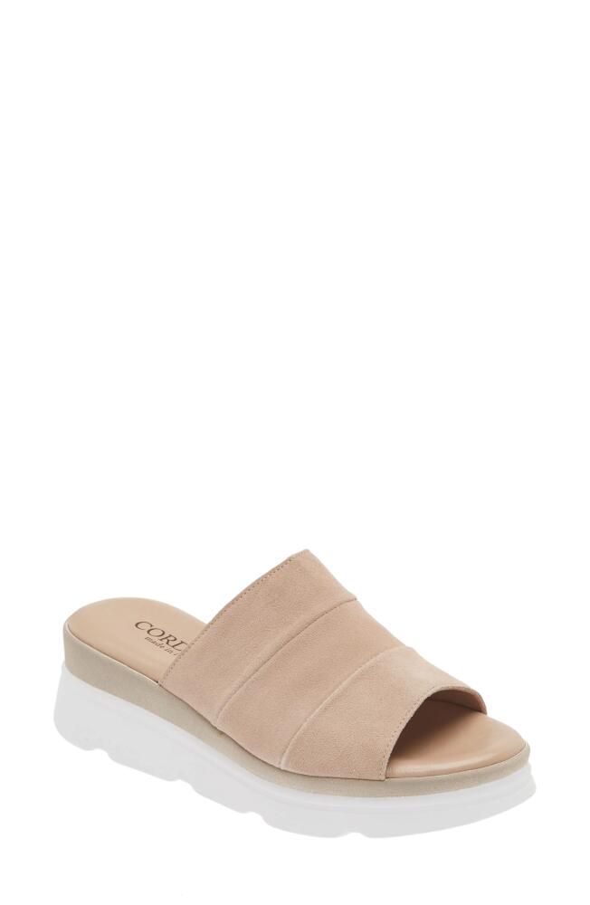 Cordani Andria Platform Slide Sandal in Sahara Combo Cover