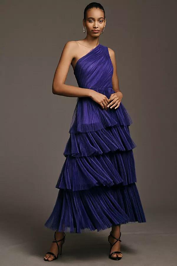 Hutch Xala One-Shoulder Tiered Pleated Tulle Maxi Dress Cover