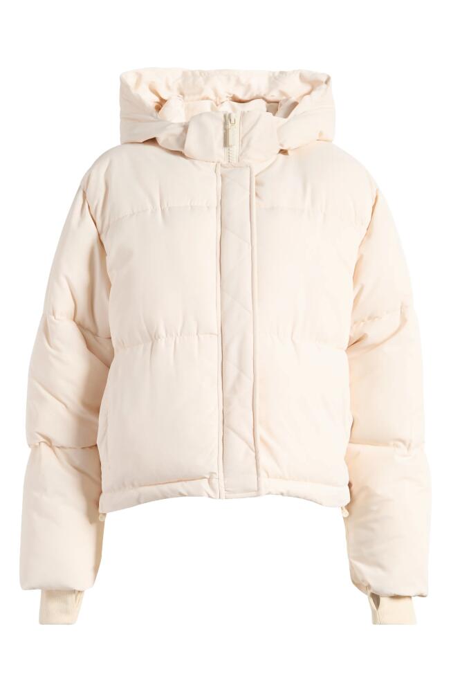 Florence by Mills Hooded Short Puffer Jacket in Whitecap Grey Cover