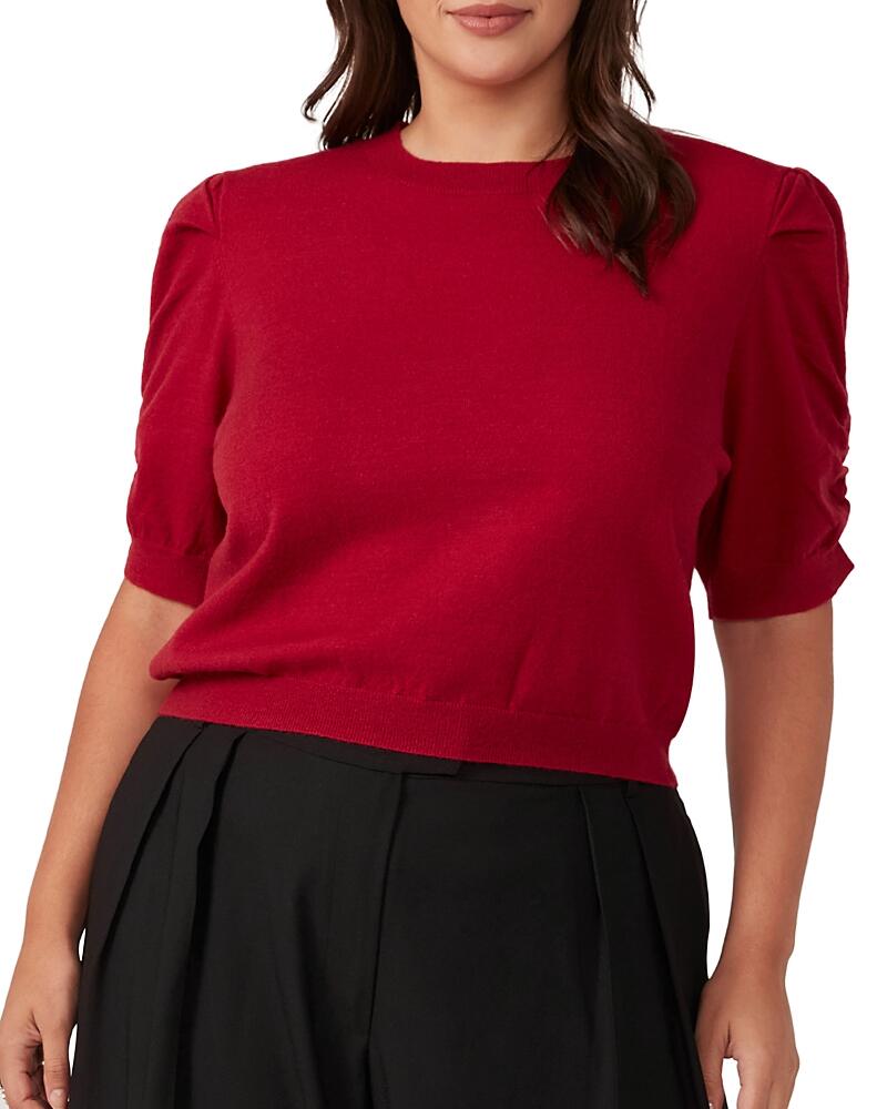 Estelle Plus Bacchus Knit Sweater Cover