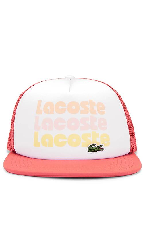 Lacoste Wording Cap in Burgundy Cover