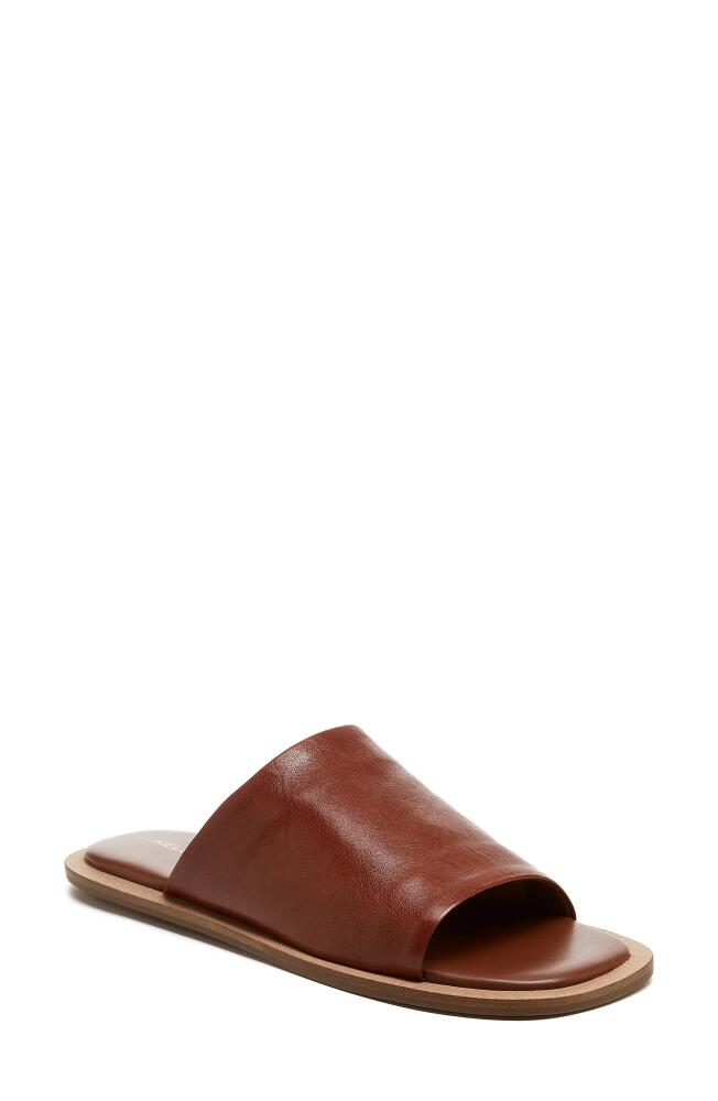 Kelsi Dagger Brooklyn Benny Slide Sandal in Cider Cover