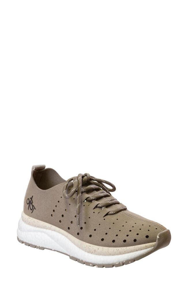 OTBT Alstead Perforated Sneaker in Greige Cover