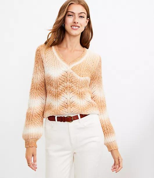 Loft Spacedye V-Neck Sweater Cover