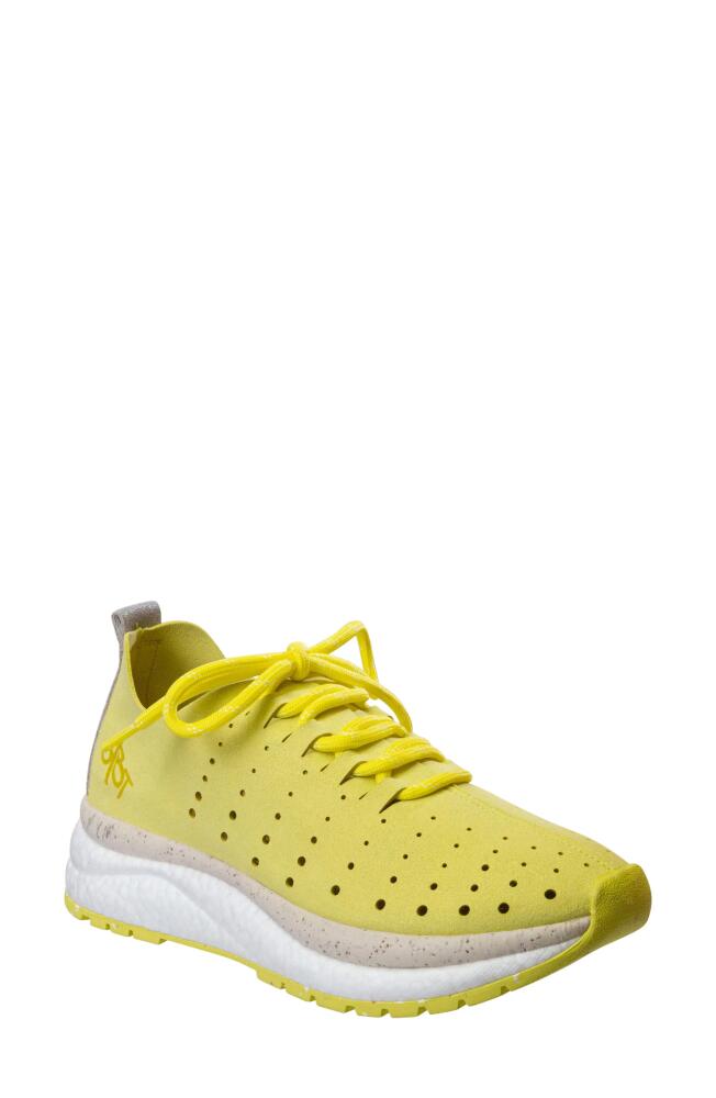 OTBT Alstead Perforated Sneaker in Canary Cover