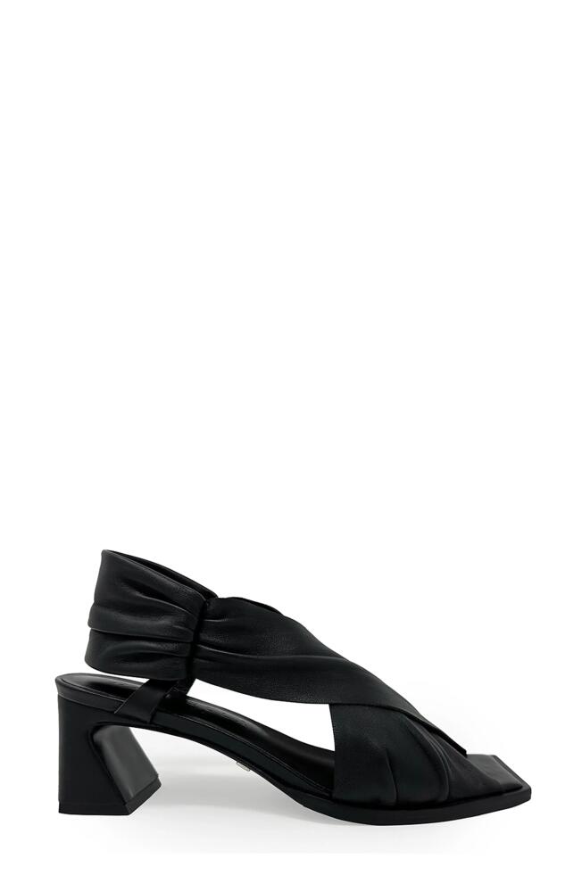 Daniella Shevel Harper Sandal in Black Cover