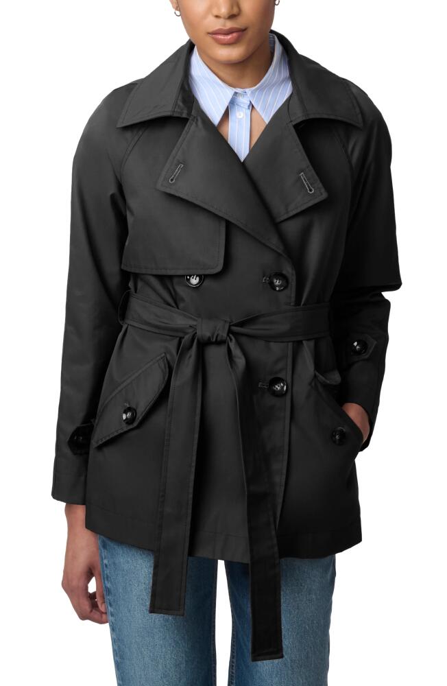 Bernardo Belted Trench Coat in Black Cover