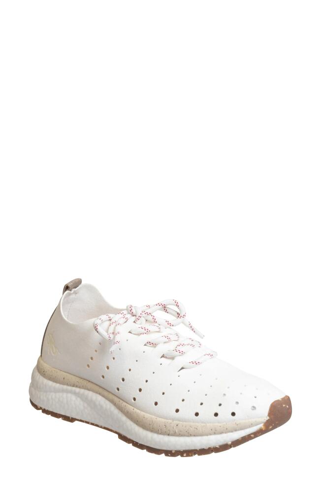 OTBT Alstead Perforated Sneaker in Chamois Cover