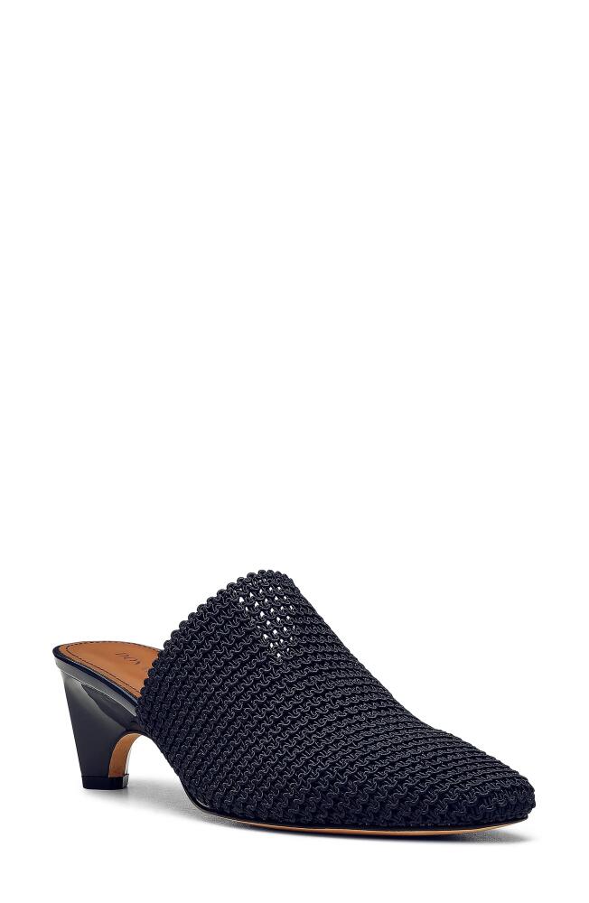 Donald Pliner Fenda Kitten Heel Mule in Navy Cover