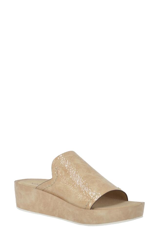 Naked Feet Reno Platform Slide Sandal in Beige Cover