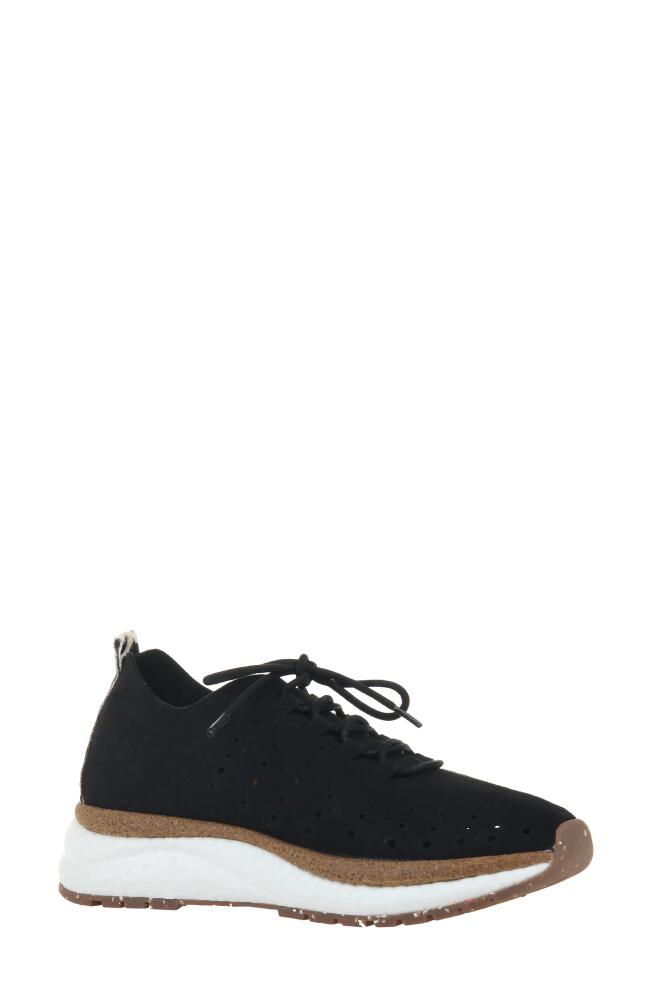 OTBT Alstead Perforated Sneaker in Black Leather Cover