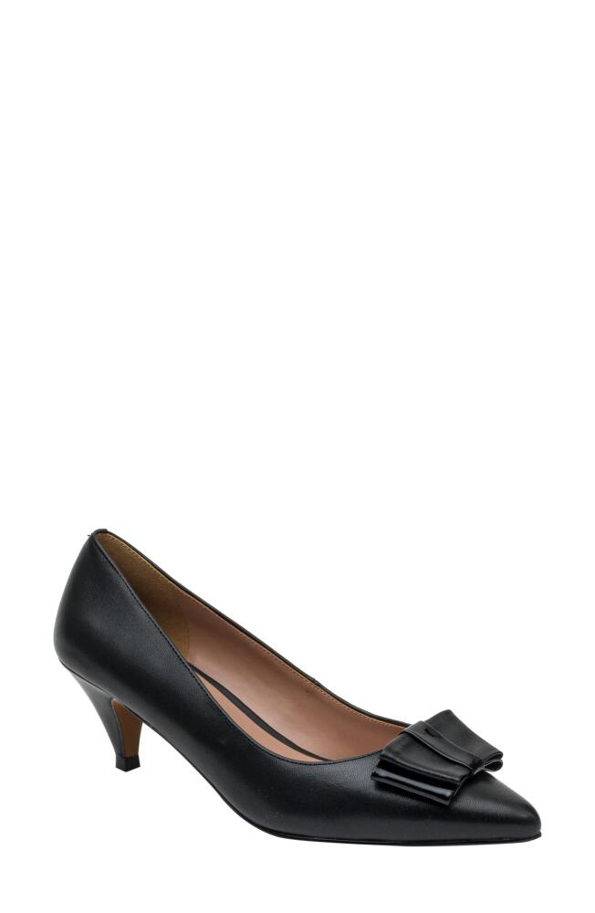 Linea Paolo Perdue Pointed Toe Pump in Black Cover