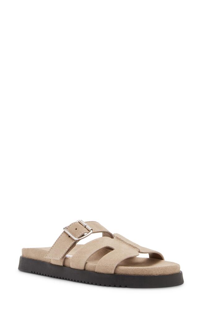 Steve Madden Mayhem Slide Sandal in Taupe Suede Cover