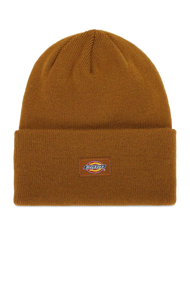 Dickies Tall Beanie in Brown Cover