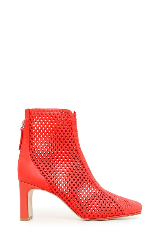 Daniella Shevel Harper Sandal in Red Cover