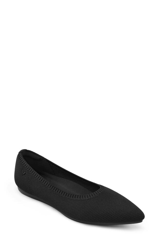 VIVAIA ARIA 5º Pointed Toe Flat in Black Cover